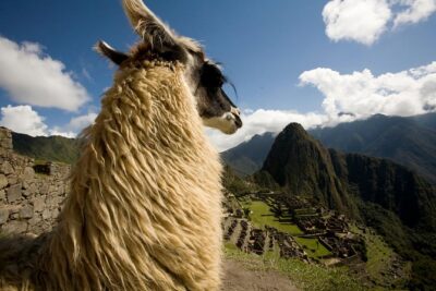10-Day Taste Peru Experience: Lima, Nasca, Cusco & Machu Picchu