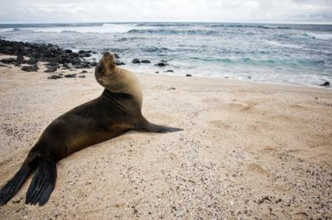12-Day The Best Of Ecuador & Galapagos - Quito begins the trip at high altitude