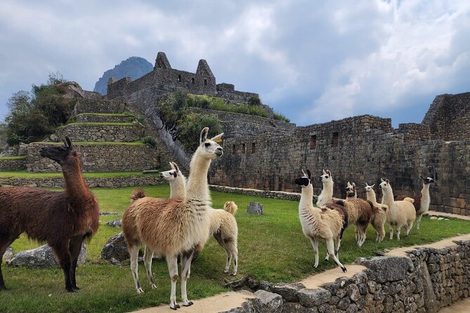 2 Day - Inca Trail to Machu Picchu - Why the Short Inca Trail is worth considering
