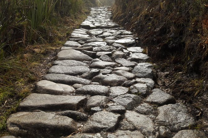 2 Day - Inca Trail to Machu Picchu - Sunrise at Machu Picchu and the second guided visit