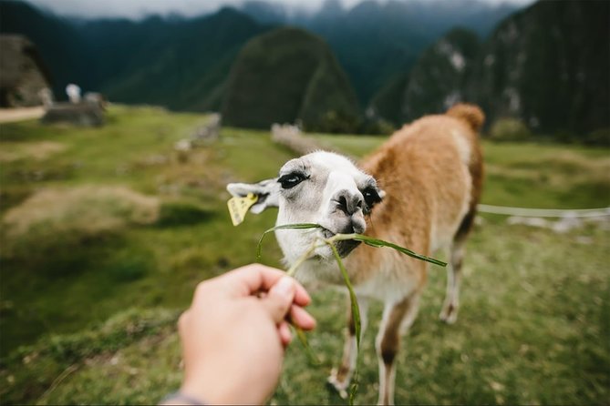 2-Day Short Inca Trail to Machu Picchu - Lunch, the Sun Gate, and the first Machu Picchu view