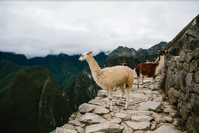 2-Day Short Inca Trail to Machu Picchu - The main Machu Picchu visit