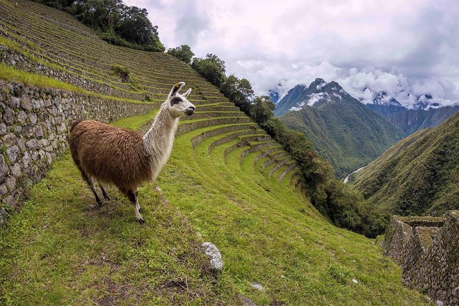 2-Day Short Inca Trail to Machu Picchu - Returning to Cusco by train and bus