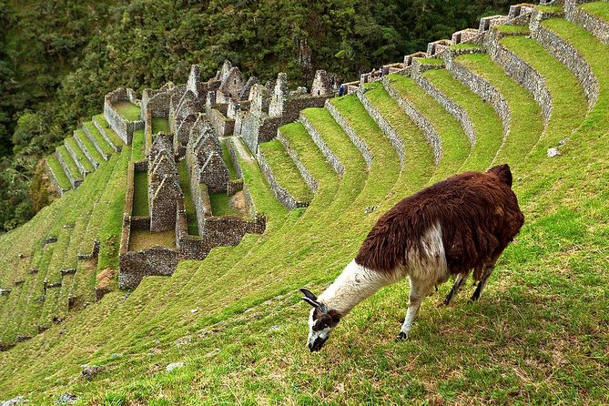 2 Day - Short Inca trail to Machu Picchu - Private Services - The Sun Gate view of Machu Picchu