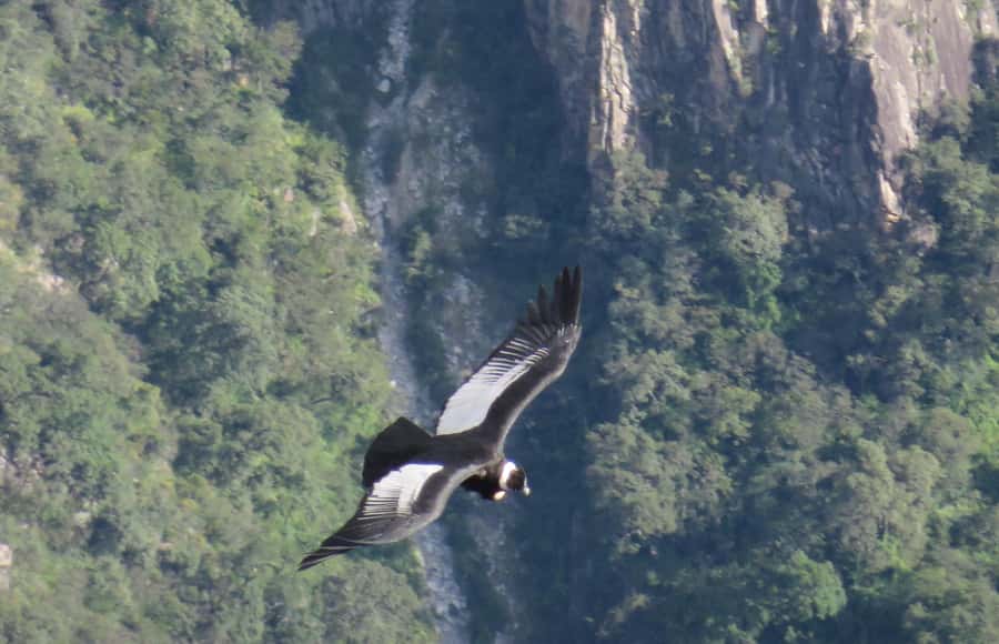 2-Day Tour Colca Canyon in Arequipa with end in Puno - Day one: Arequipa to Chivay through high country