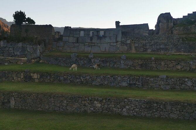 2-Day Tour in Sacred Valley and Machu Picchu from Cusco - The guide and the value of personal help