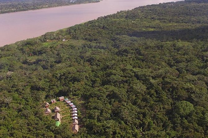 3-Day All Inclusive Guided Jungle Tour from Iquitos at Maniti Eco-Lodge - A final jungle walk and the trip back to Iquitos
