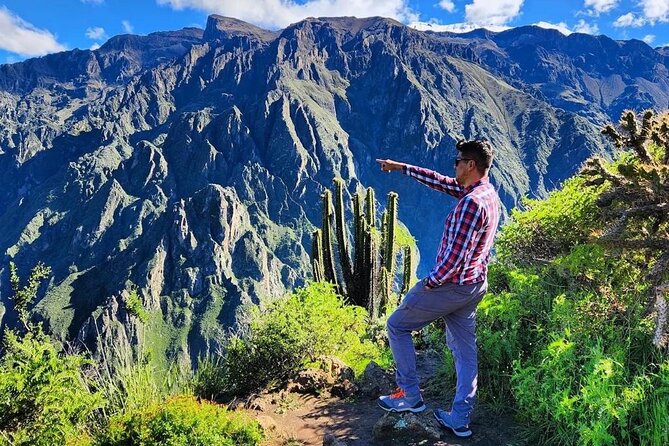 3-Day Colca Canyon trek with Professional Guide - Day three: the pre-dawn climb and Chacapi hot springs