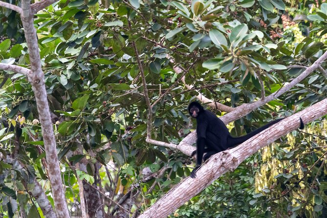 3-Day Eco-Sustainable Private Tour Manu National Park - Who should choose this tour?