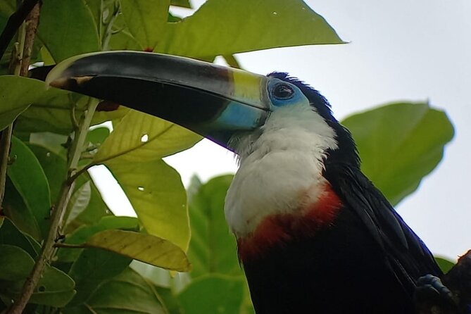 3-Day Eco-Sustainable Private Tour Manu National Park - What makes a good Manu guide