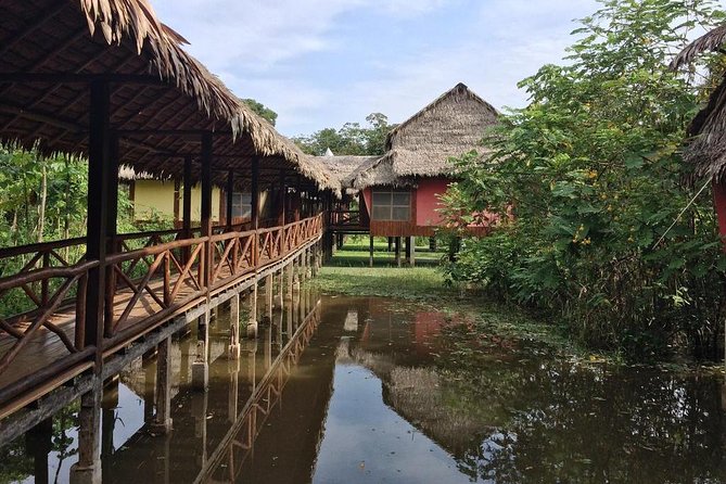 3-Day Iquitos Amazon Jungle Adventure at Heliconia Lodge - Is $482.50 good value?