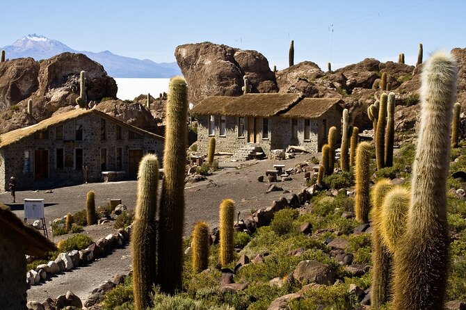3-Day Uyuni Salt Flat Tour with Sunset and Red Lagoons - What the $300 price really covers