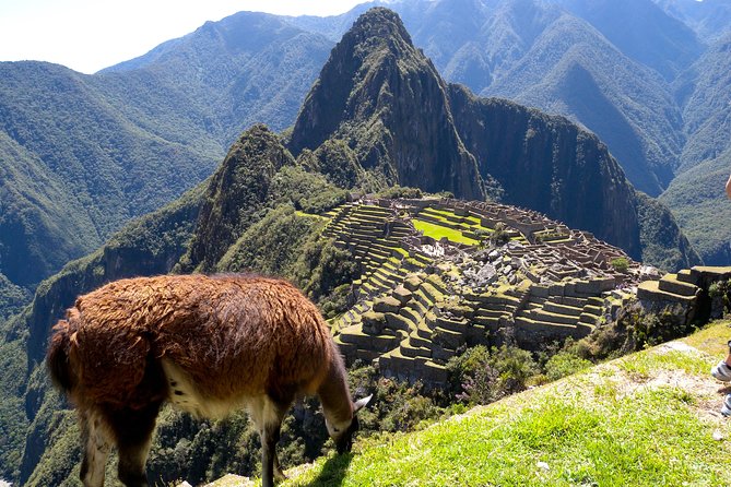 4 Day - Machu Picchu Special - Group Service - Day 1: Cusco landmarks from Koricancha to Sacsayhuaman