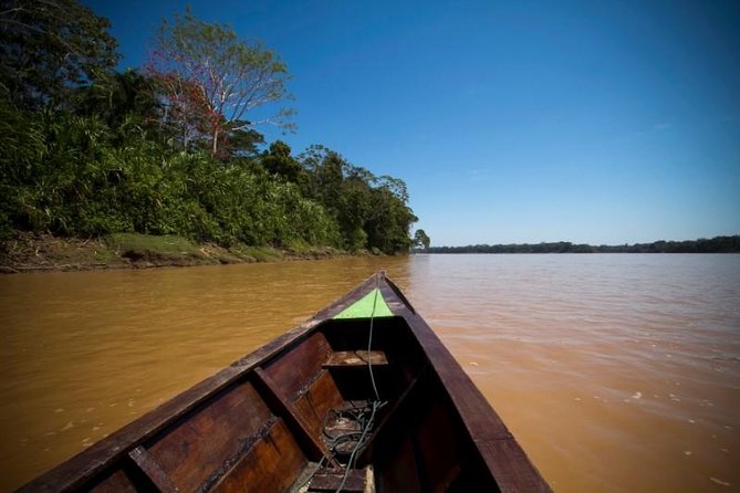4 Day Tambopata Amazon Wildlife & Canopy Experience - Day 3: Piranhas, hammocks, and a dose of adventure