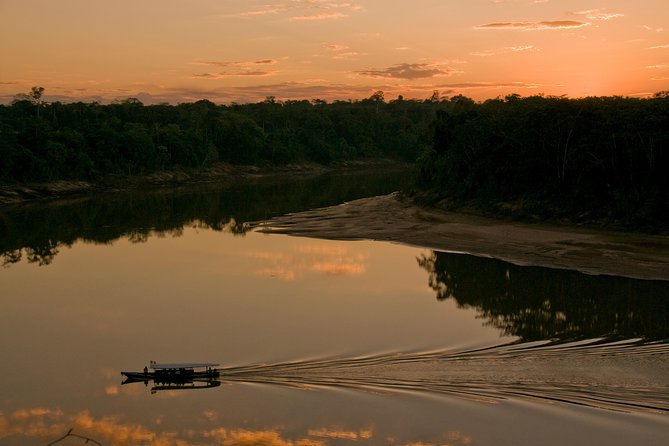 4 Day Tambopata Amazon Wildlife & Canopy Experience - Day 4: Parrots, local culture, and the return to town