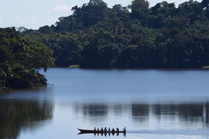 4 Day Tambopata Amazon Wildlife & Canopy Experience - What the guides add to the experience