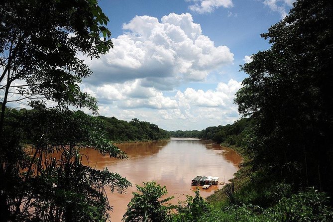 4 Day Tambopata Amazon Wildlife & Canopy Experience - Food, rooms, electricity, and the real comfort level