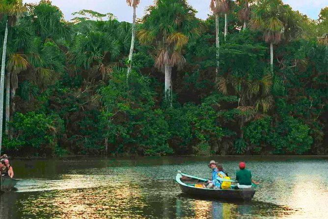 4 Day Tambopata Amazon Wildlife & Canopy Experience - Day 2: Canopy views and Sandoval Lake