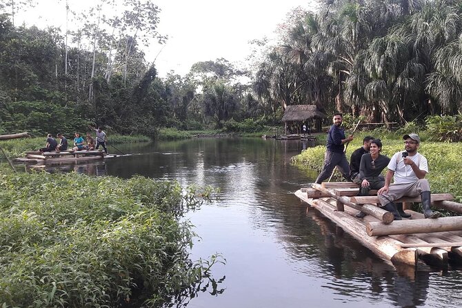 4 Day Tour to the Manu National Park - Day three: parrots, forest walking, and a zipline