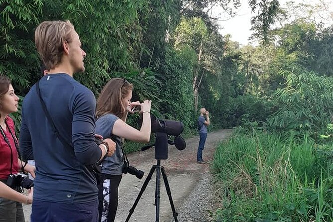 4 Day Tour to the Manu National Park - Day four: back upstream and on to Cusco