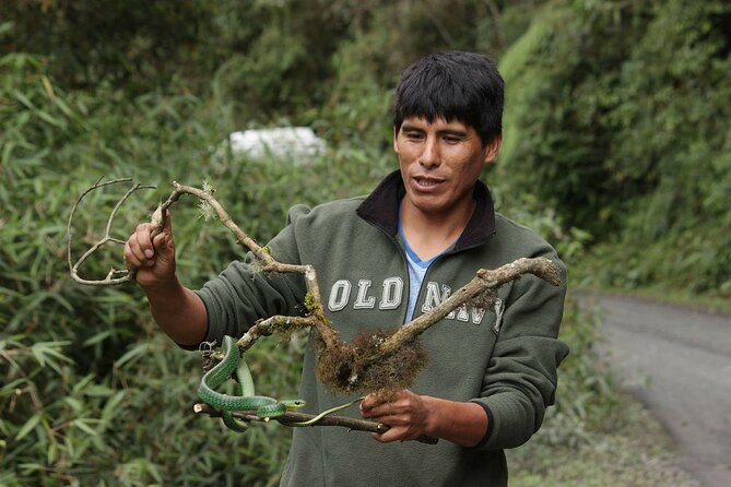 4 Day Tour to the Manu National Park - Day two: monkeys, Atalaya, and the Alto Madre de Dios
