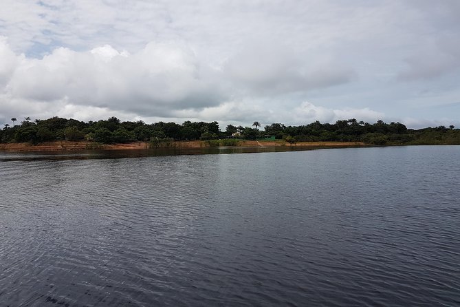 4 Days Amazon Jungle Adventure Tour - From Manaus to a lodge deep in the forest