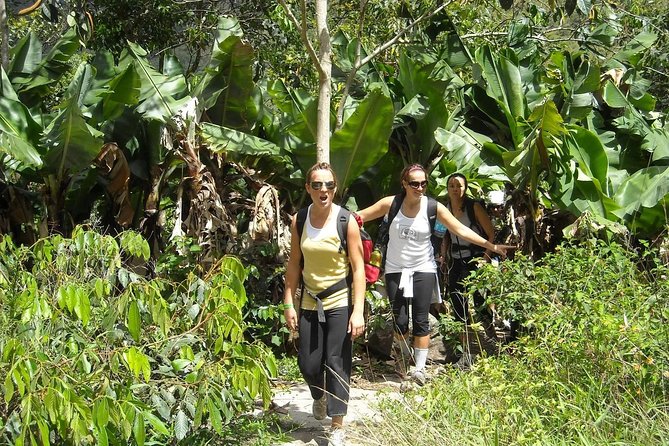 4 Days Inca Jungle to Machu Picchu Standard - What the $455 price really covers
