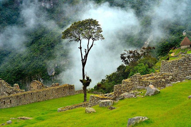 6-Day Cultural Tour to Machu Picchu - How the Group Size and Guide Affect the Trip