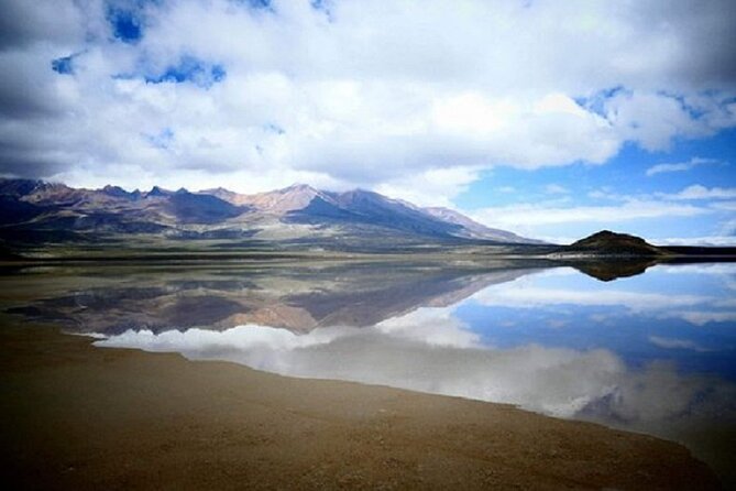 8-Hours Tour in Arequipa Laguna de Salinas with Pick-up - A high-altitude day from Arequipa