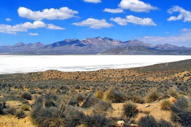 8-Hours Tour in Arequipa Laguna de Salinas with Pick-up - Four hours on rough roads