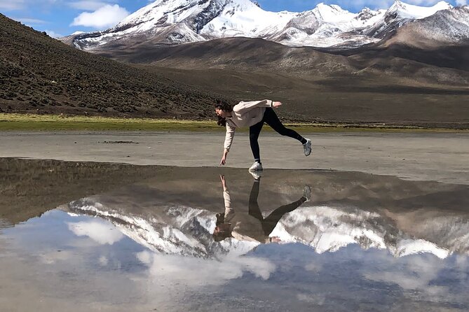 8-Hours Tour in Arequipa Laguna de Salinas with Pick-up - Wildlife in Salinas y Aguada Blanca National Reserve