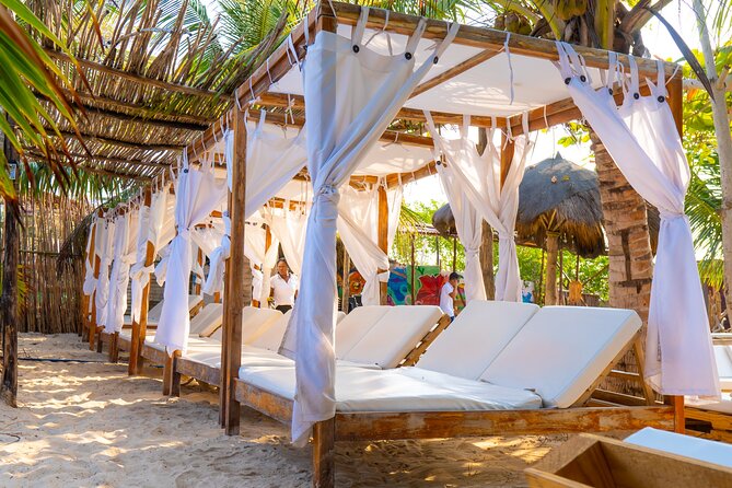 Adventure full day Isla Barú + Mangroves + Snorkel + bioluminescent plankton - Group size, communication, and comfort