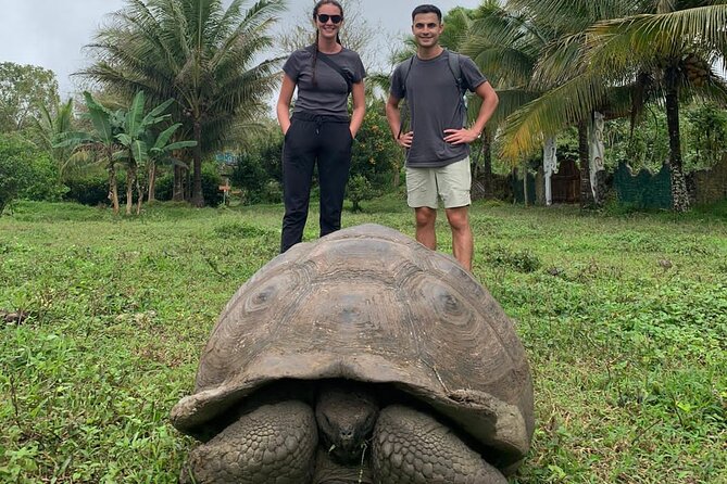 Adventure with Giant Turtles, Lava Tunnels and Craters - Giant tortoises in the Galápagos Frontier reserve