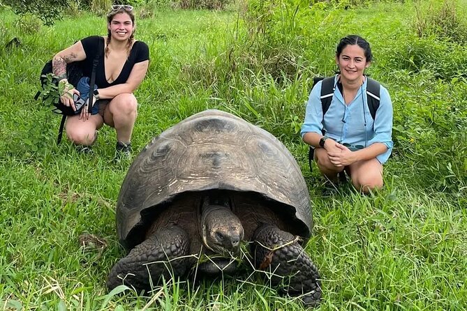 Adventure with Giant Turtles, Lava Tunnels and Craters - What $69.99 gets you