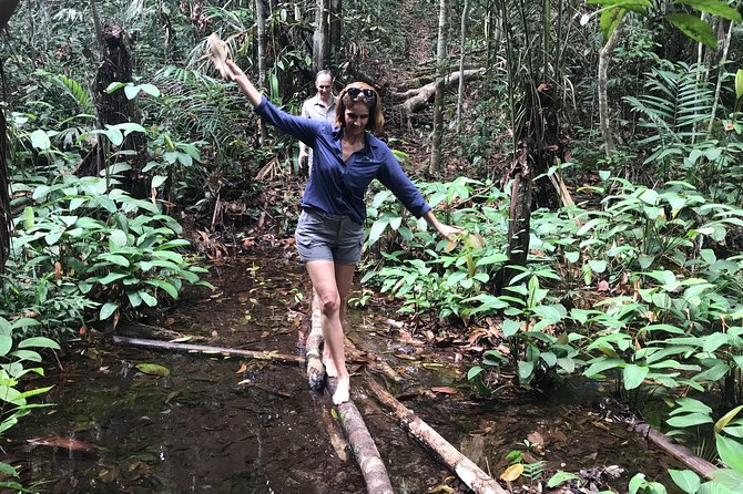 Amazon Jungle Experience with Overnight - What $300 buys you near Manaus