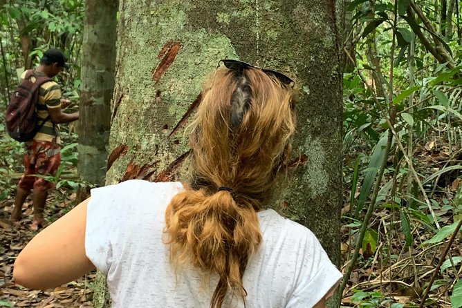 Amazon Jungle Experience with Overnight - Flooded forest, piranhas, and a sunset on the river
