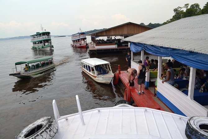Amazon Negro River Half-Day Expedition Tour - Why this tour works as a first look at the Amazon
