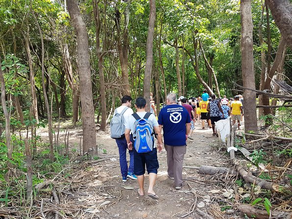 Amazon Negro River Half-Day Expedition Tour - Indigenous village stop: cultural visit or tourist performance?