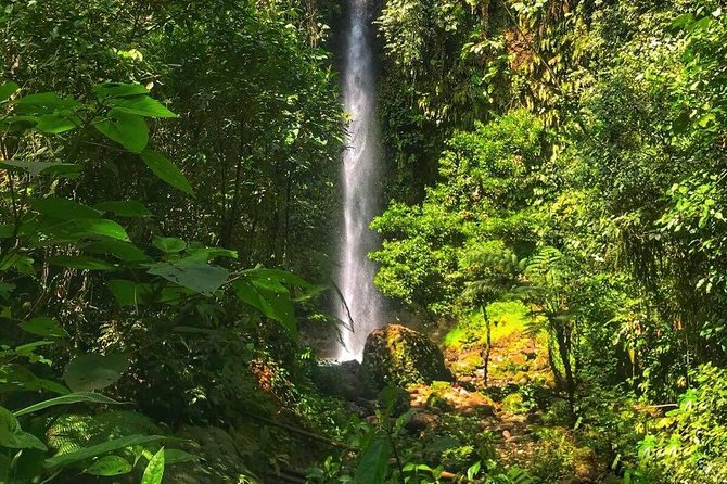 Amazon Tour in Ecuador: Puyo Day Trip from Baños - From Baños to the Puyo rainforest