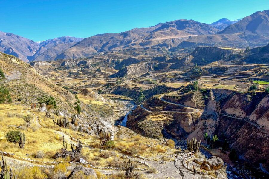 Andes: Colca Canyon Day-Trip - Lunch and free time in Chivay