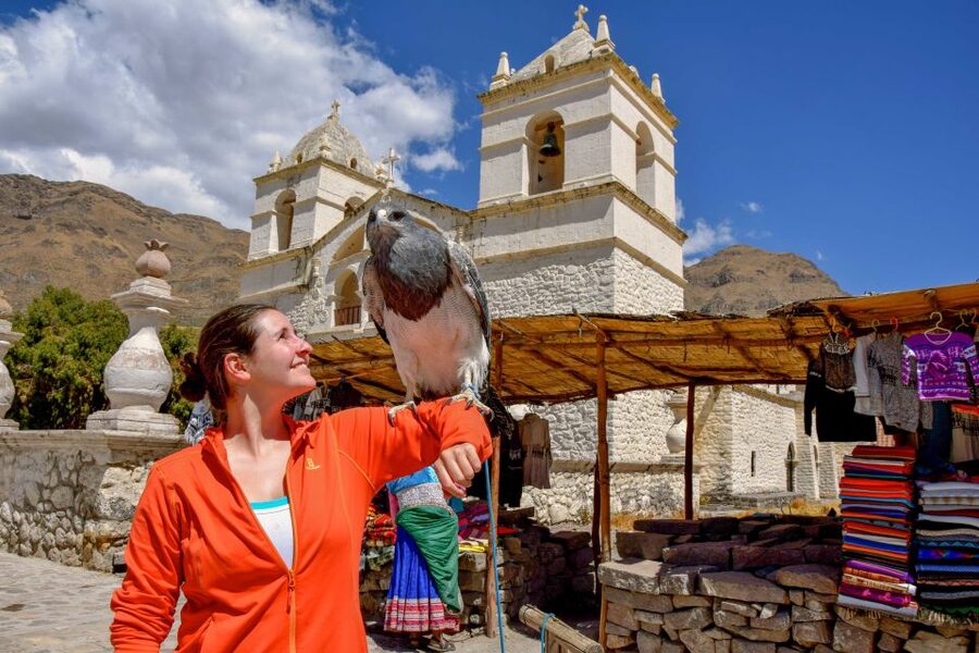Andes: Colca Canyon Day-Trip - Waiting for condors at Cruz del Condor