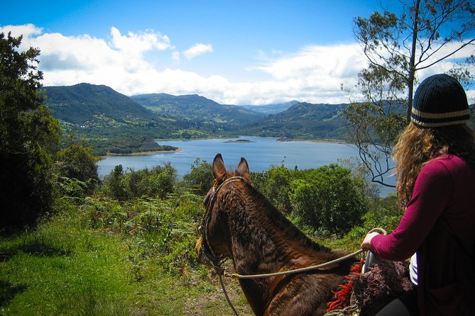 Andes Mountains Horseback Riding - Half Day - Quick points to know before you book
