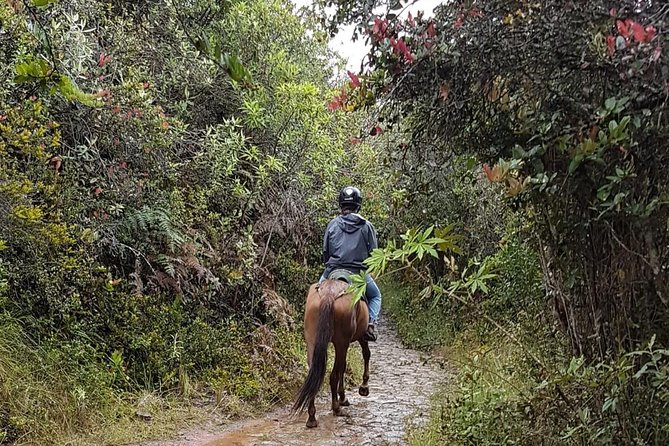 Andes Mountains Horseback Riding - Half Day - From Bogotá to La Calera, the journey is part of the outing