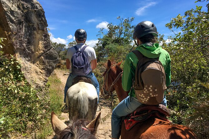Andes Mountains Horseback Riding - Half Day - What the $90 price really covers