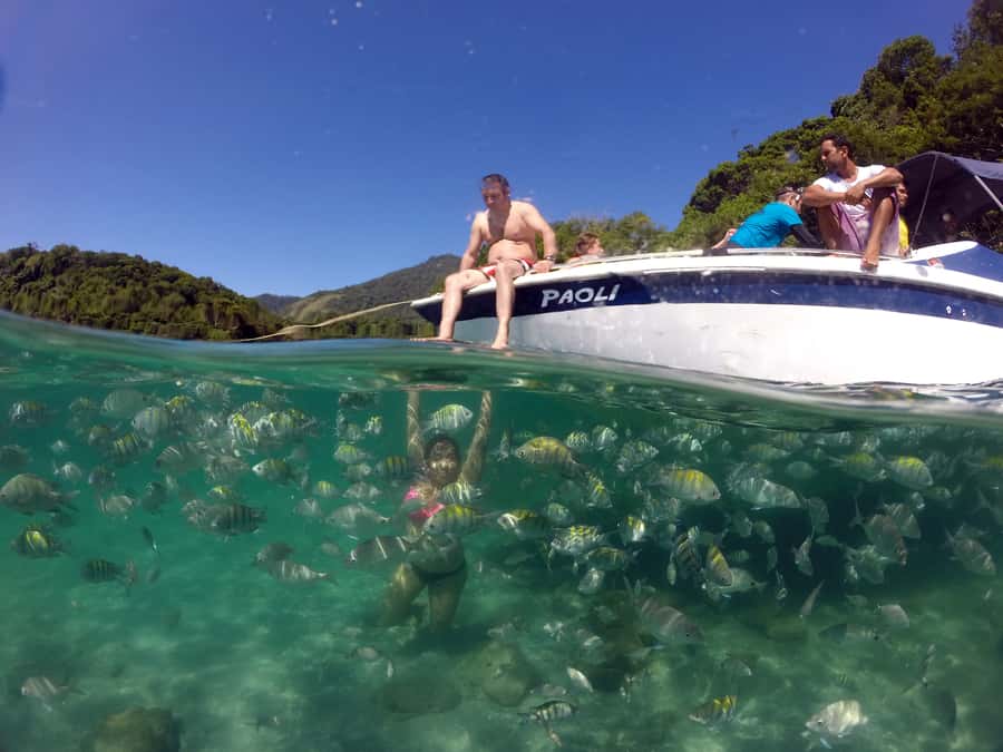 Angra dos Reis and Ilha Grande: Small-Group Fast-Boat Tour - Why this Ilha Grande day trip works