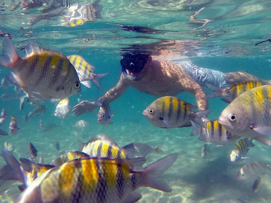 Angra dos Reis and Ilha Grande: Small-Group Fast-Boat Tour - Blue Lagoon and the first clear-water stops