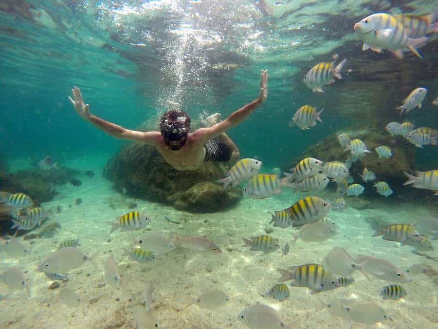 Angra dos Reis and Ilha Grande: Small-Group Fast-Boat Tour - What the guides add to the day