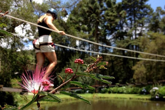 Arborismo in Horto Florestal - Campos Do Jordão - What the 30-minute itinerary feels like