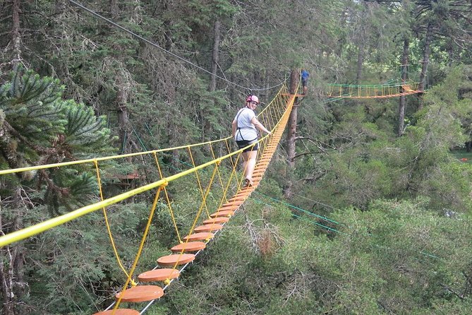 Arborismo in Horto Florestal - Campos Do Jordão - Why the safety record matters