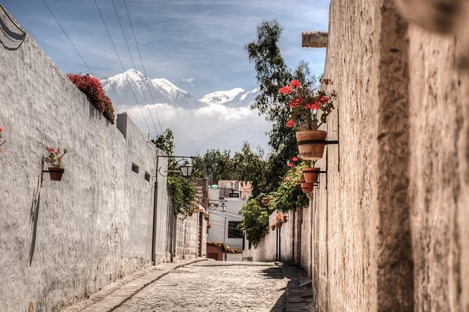 Arequipa, Historic and Colonial City and Santa Catalina Monastery - Is $61 a fair price for three and a half hours?